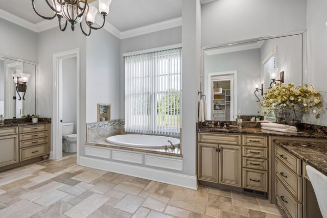 6054 Pelican Way, College Grove, TN 37046