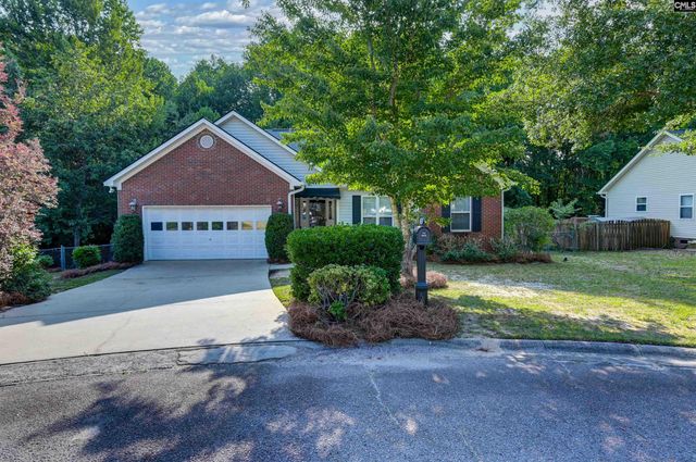 222 Red Leaf Court, Lexington, SC 29073