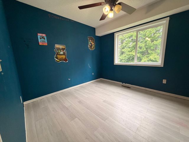 13310 Lake Place Road, Zimmerman, MN 55398