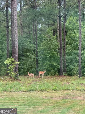 1270 McGarity Road, Temple, GA 30179