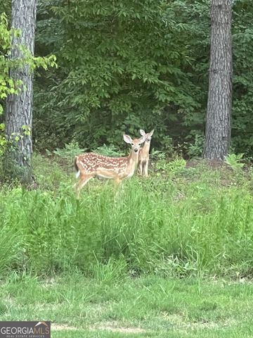 1270 McGarity Road, Temple, GA 30179