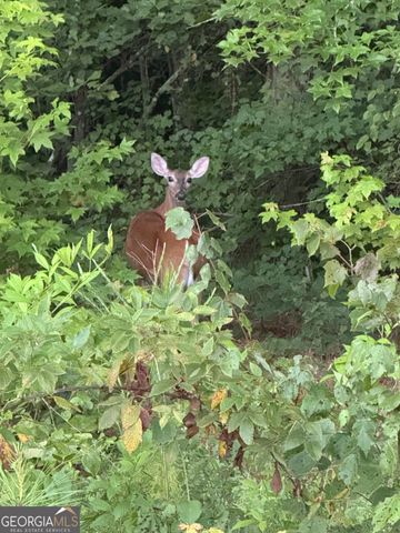 1270 McGarity Road, Temple, GA 30179