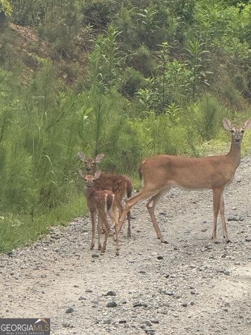 1270 McGarity Road, Temple, GA 30179