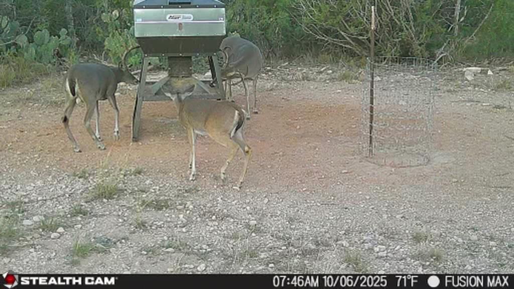 Image 33 of property listing at 495 Frontier Trail, Ozona, TX 76943