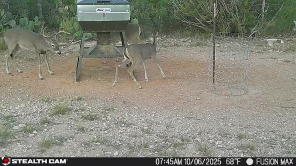 Image 35 of property listing at 495 Frontier Trail, Ozona, TX 76943