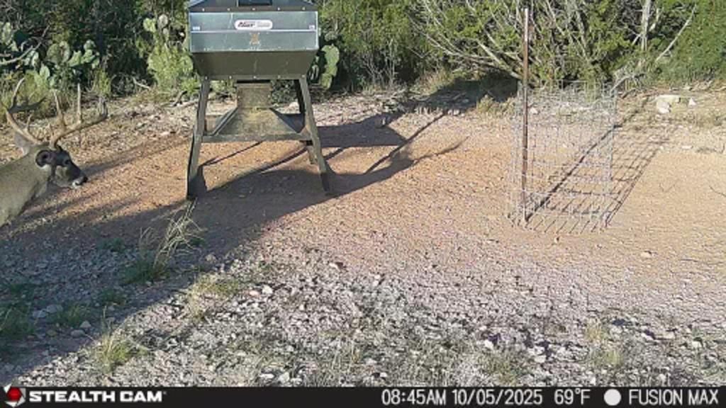 Image 36 of property listing at 495 Frontier Trail, Ozona, TX 76943