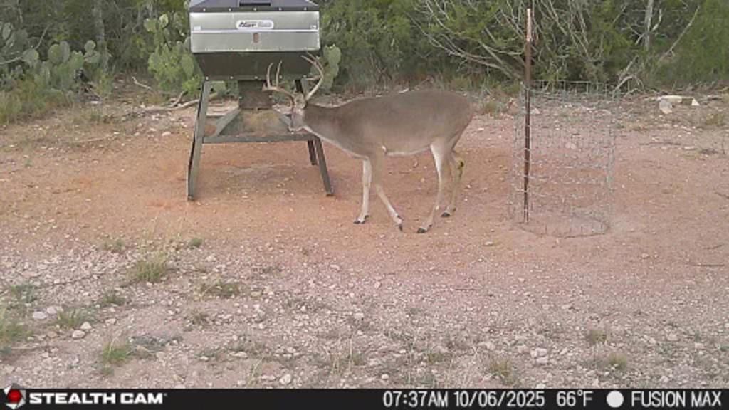 Image 37 of property listing at 495 Frontier Trail, Ozona, TX 76943