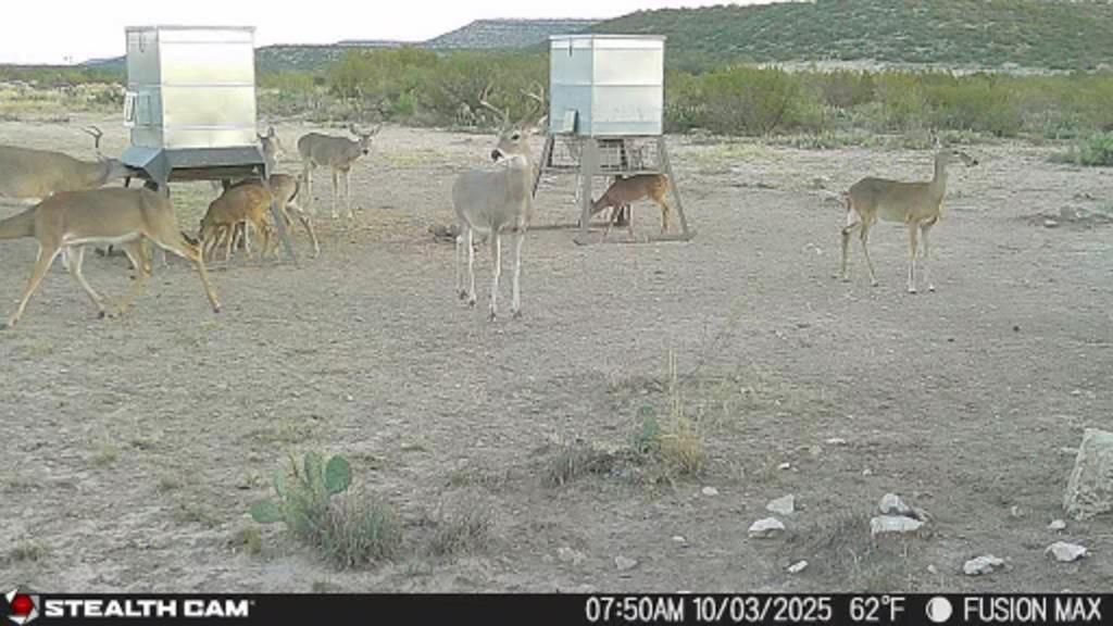 Image 38 of property listing at 495 Frontier Trail, Ozona, TX 76943