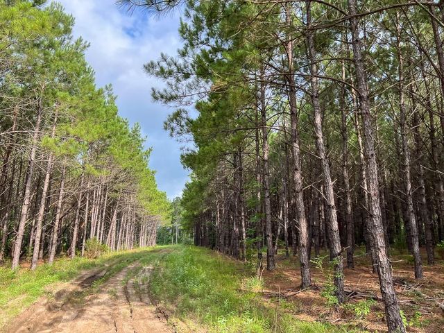 000 Fm 1725, Willis, TX 77378