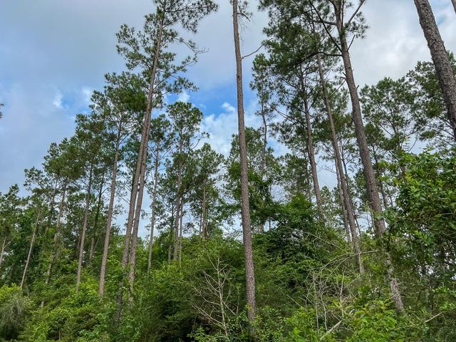 000 Fm 1725, Willis, TX 77378