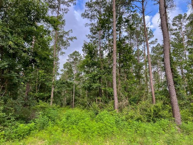 000 Fm 1725, Willis, TX 77378