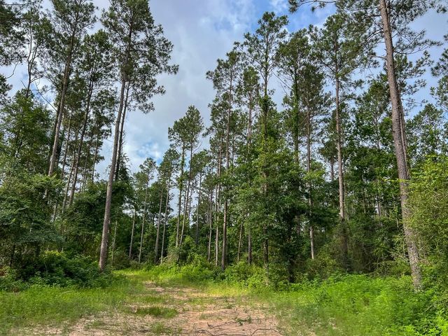 000 Fm 1725, Willis, TX 77378