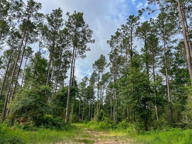 000 Fm 1725, Willis, TX 77378