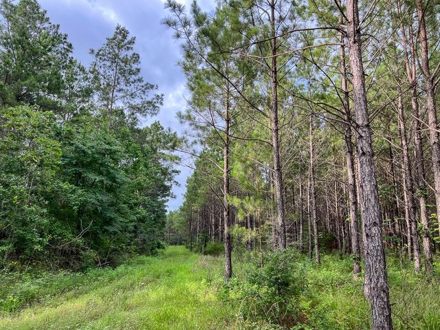 000 Fm 1725, Willis, TX 77378