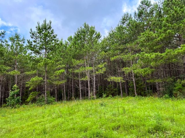 000 Fm 1725, Willis, TX 77378