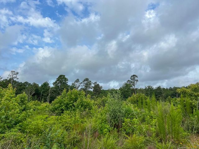 000 Fm 1725, Willis, TX 77378