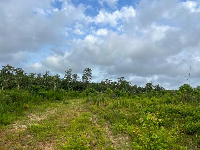 000 Fm 1725, Willis, TX 77378