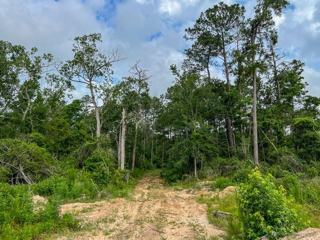 000 Fm 1725, Willis, TX 77378