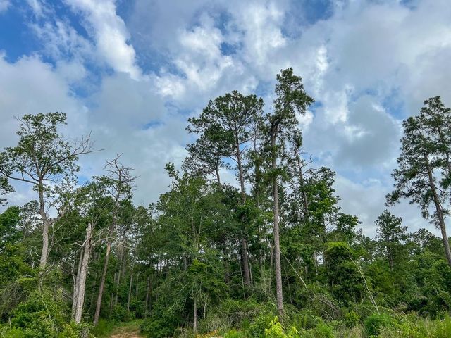 000 Fm 1725, Willis, TX 77378