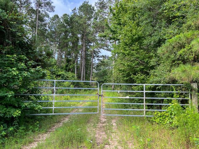 000 Fm 1725, Willis, TX 77378