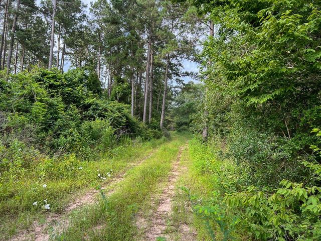 000 Fm 1725, Willis, TX 77378