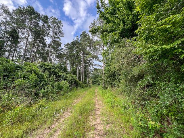 000 Fm 1725, Willis, TX 77378