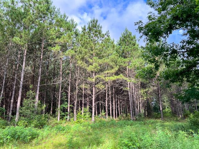 000 Fm 1725, Willis, TX 77378