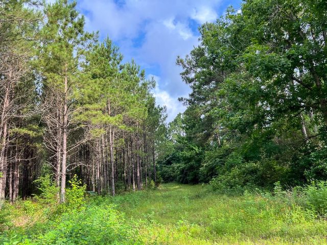 000 Fm 1725, Willis, TX 77378