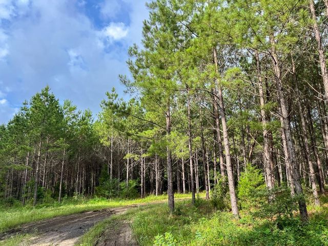 000 Fm 1725, Willis, TX 77378