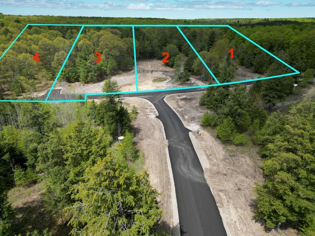 4735 Leaning Birch Drive, Traverse City, MI 49685