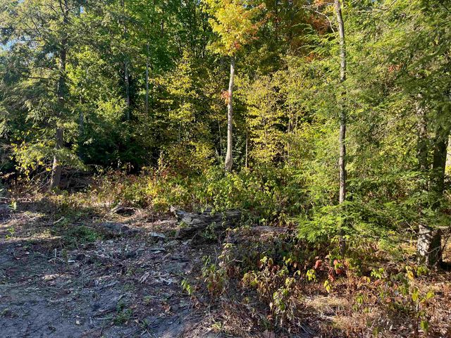 4735 Leaning Birch Drive, Traverse City, MI 49685