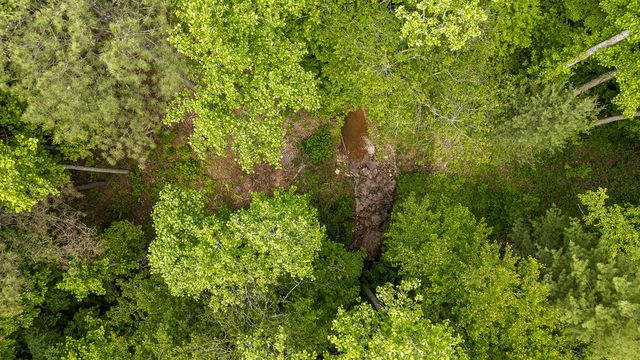 Lot 331 Twisted Oak Road, Talking Rock, GA 30175