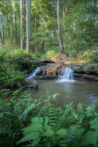 Lot 331 Twisted Oak Road, Talking Rock, GA 30175
