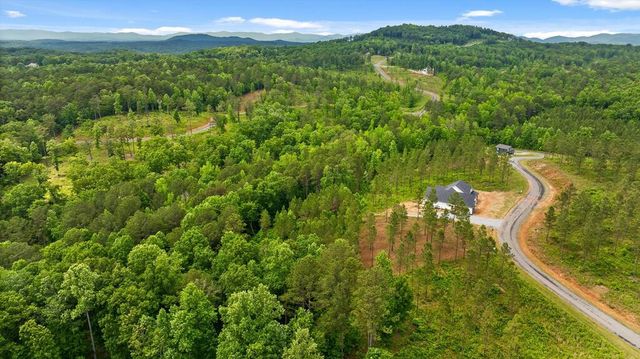 Lot 331 Twisted Oak Road, Talking Rock, GA 30175