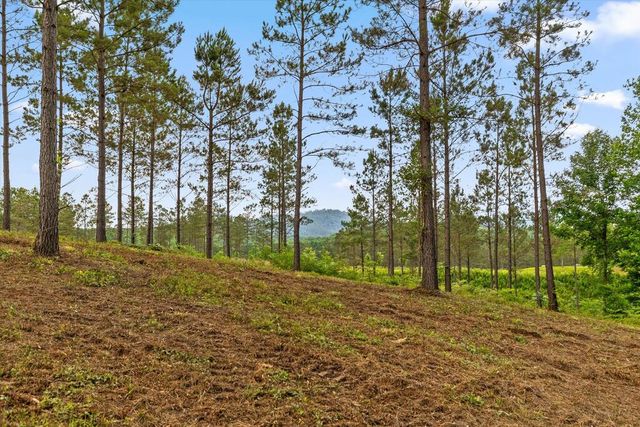 Lot 331 Twisted Oak Road, Talking Rock, GA 30175