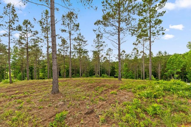 Lot 331 Twisted Oak Road, Talking Rock, GA 30175