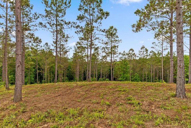 Lot 331 Twisted Oak Road, Talking Rock, GA 30175