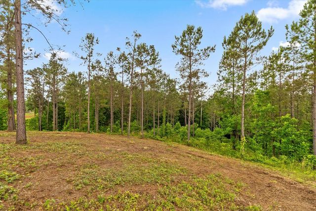 Lot 331 Twisted Oak Road, Talking Rock, GA 30175
