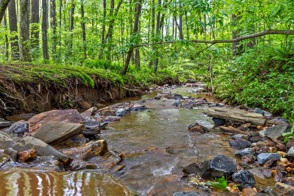 Lot 331 Twisted Oak Road, Talking Rock, GA 30175