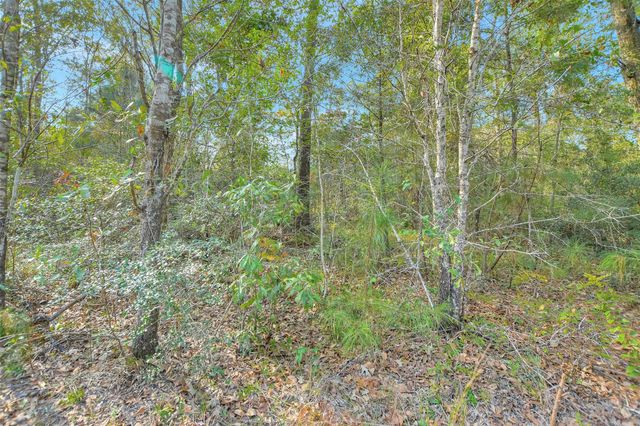 100 Virginia Creek, Coldspring, TX 77331