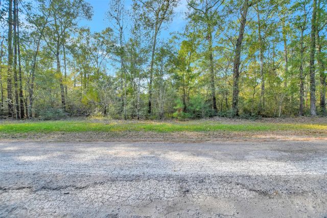 100 Virginia Creek, Coldspring, TX 77331
