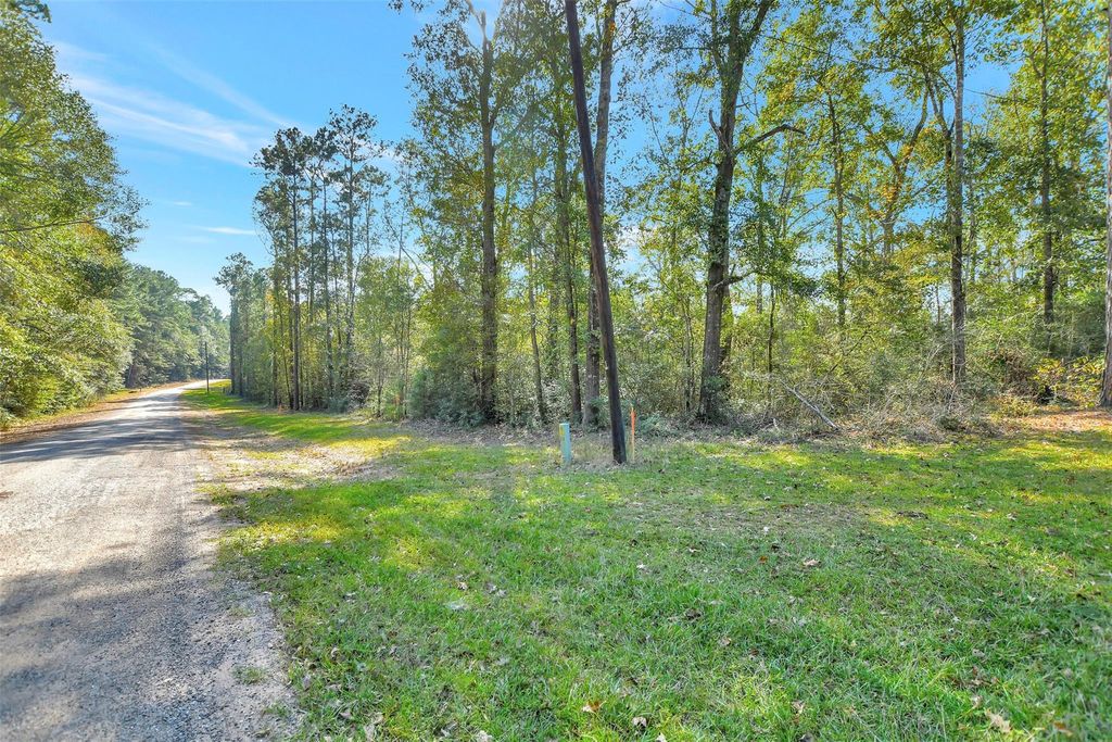 100 Virginia Creek, Coldspring, TX 77331