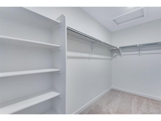 14329 Beebalm Ave, Parker, CO 80134