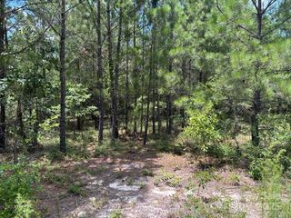 0000 Feather Run Road, Kershaw, SC 29067