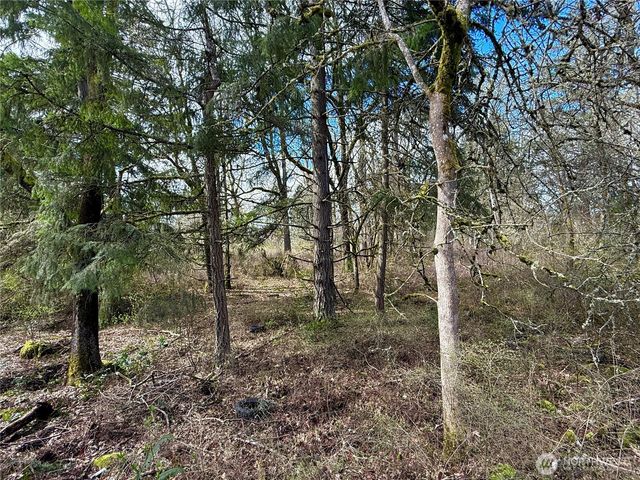 35208 88th Avenue, Mckenna, WA 98558