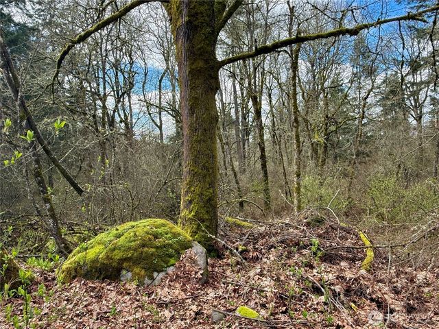 35208 88th Avenue, Mckenna, WA 98558