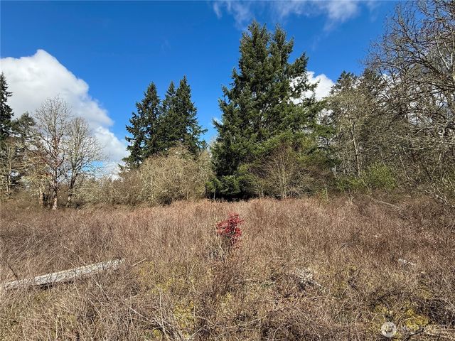 35208 88th Avenue, Mckenna, WA 98558