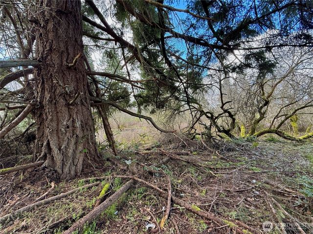 35208 88th Avenue, Mckenna, WA 98558