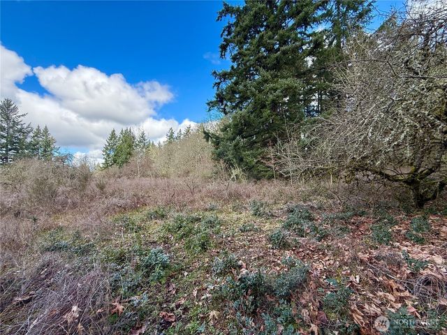 35208 88th Avenue, Mckenna, WA 98558