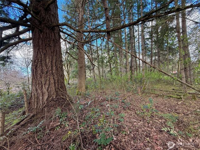 35208 88th Avenue, Mckenna, WA 98558